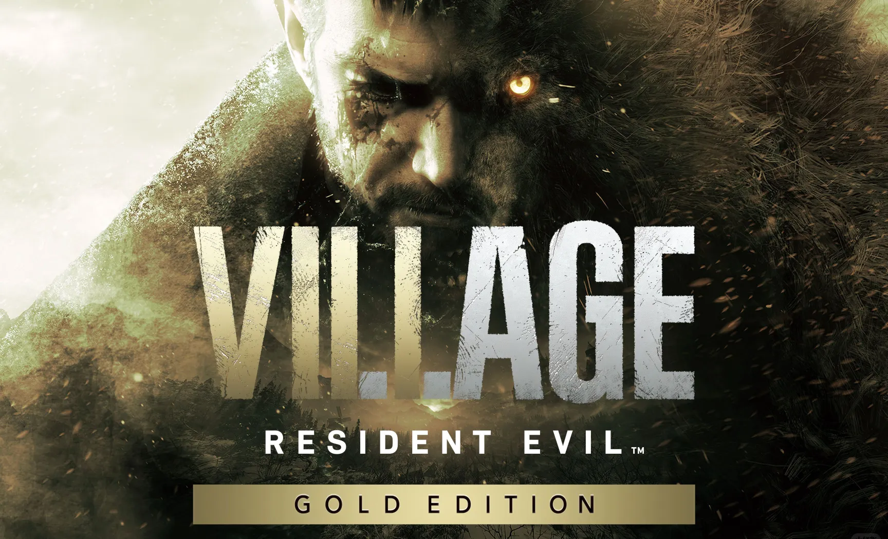 生化危机8：村庄